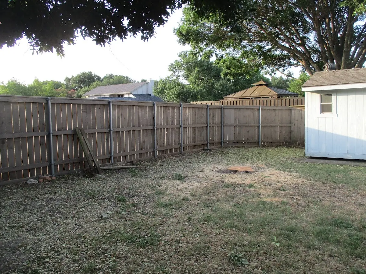 Cleared yard after professional tree removal in Tea